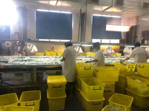 守護(hù)舌尖安全 我市持續(xù)推進(jìn)餐飲具集中消毒質(zhì)量提升行動(dòng)